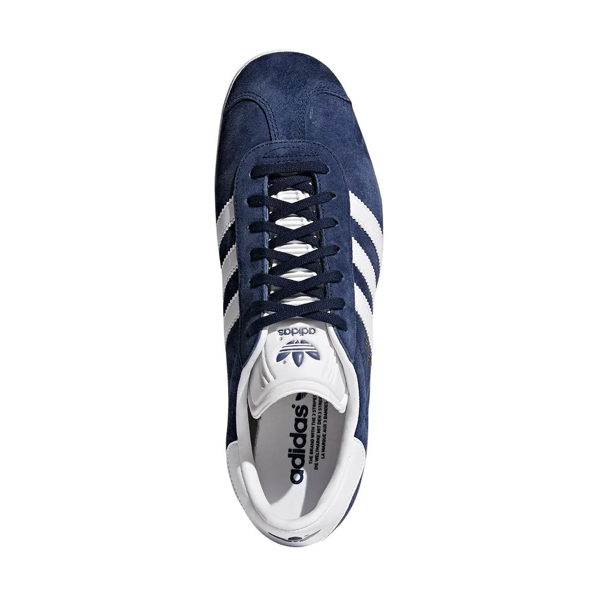 Gazelle 'Navy White'