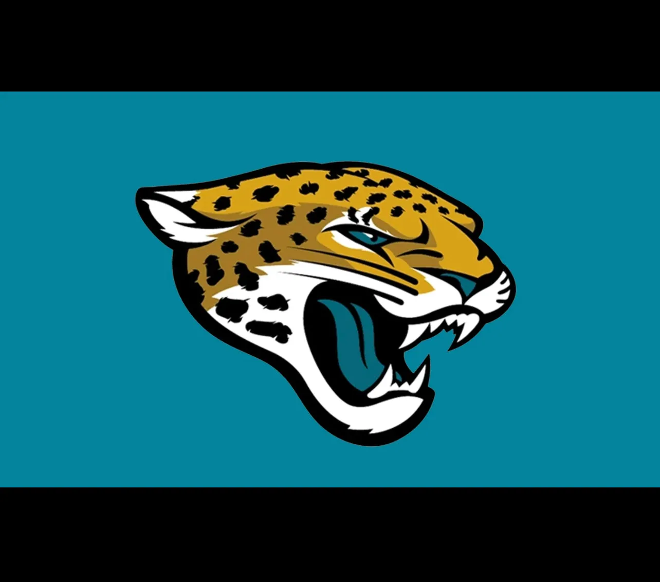 Jacksonville Pro Football Team Flag 3 x 5 Tailgate Flag Mancave Football Banner