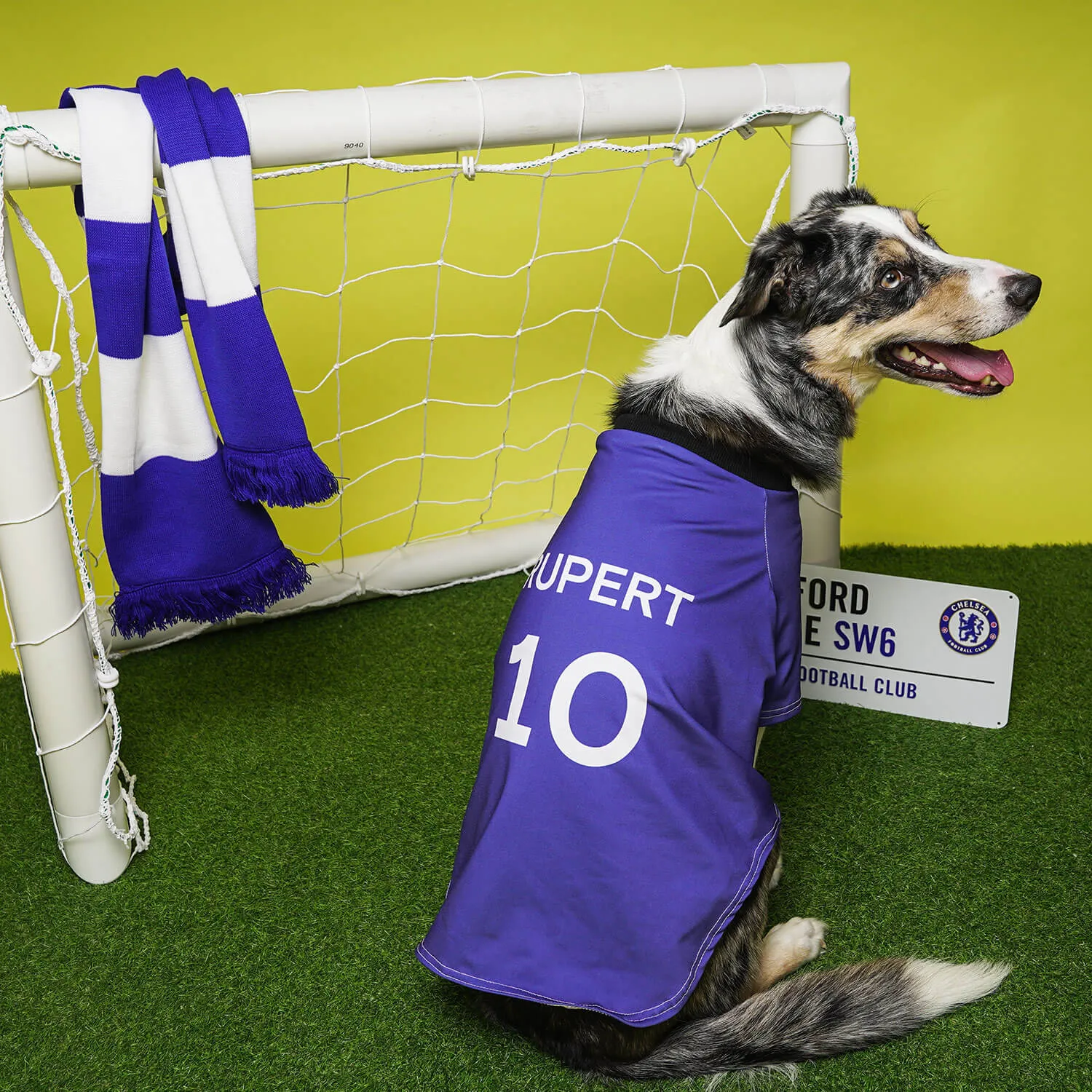 Personalised Chelsea Dog Shirt