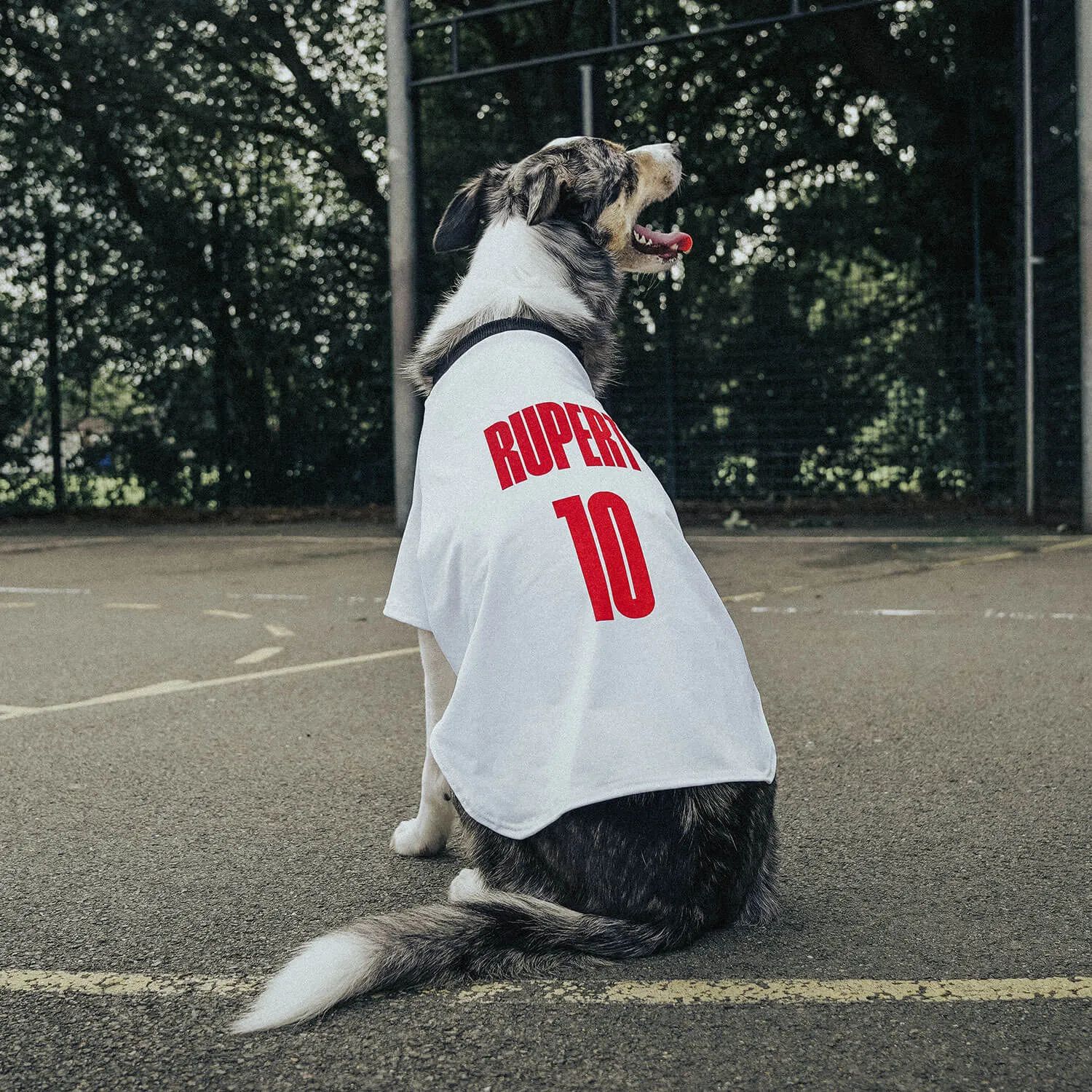 Personalised England Dog Shirt