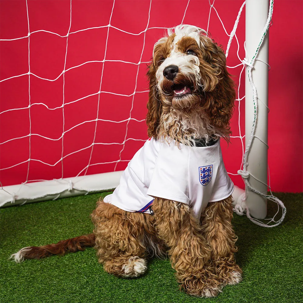 Personalised England Dog Shirt