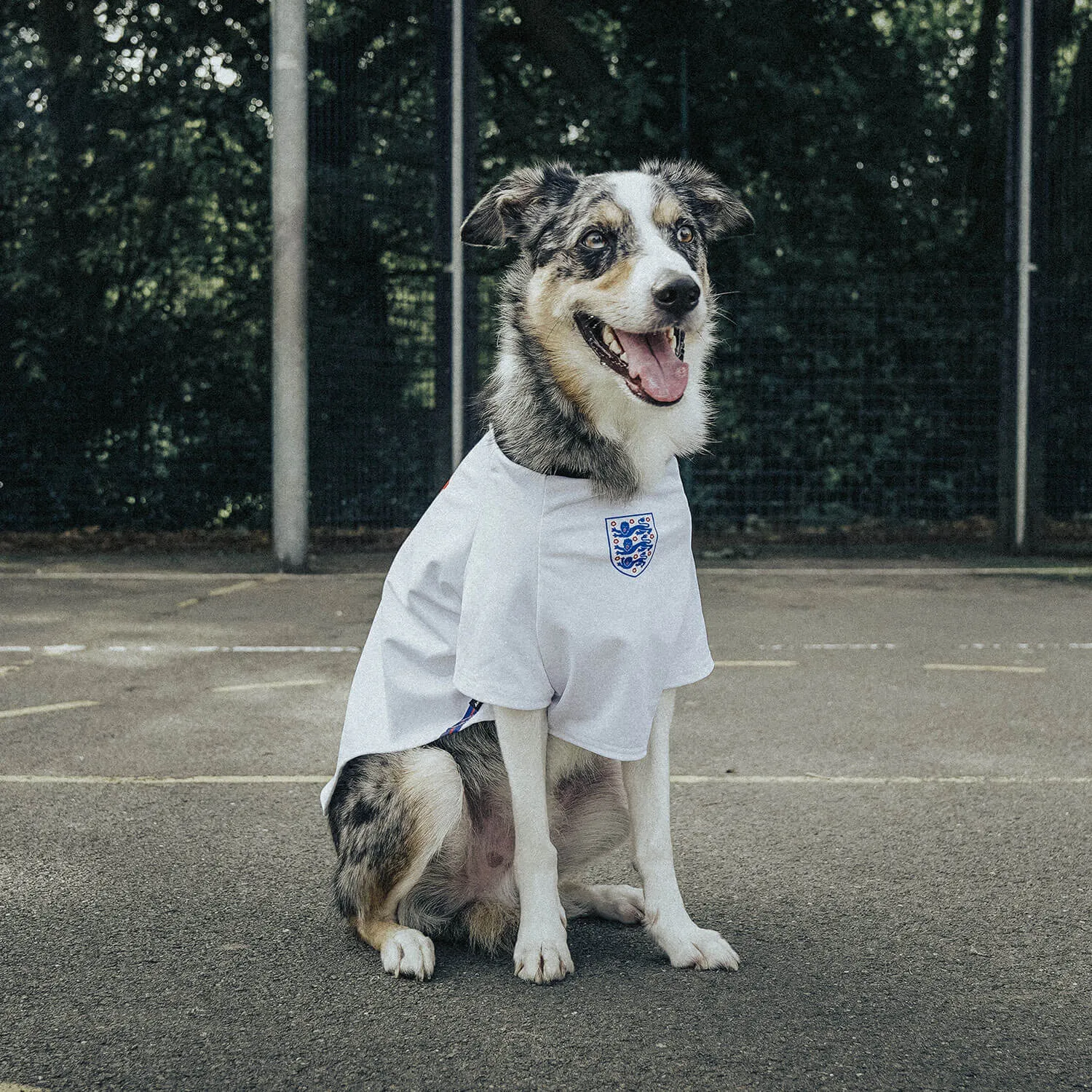 Personalised England Dog Shirt