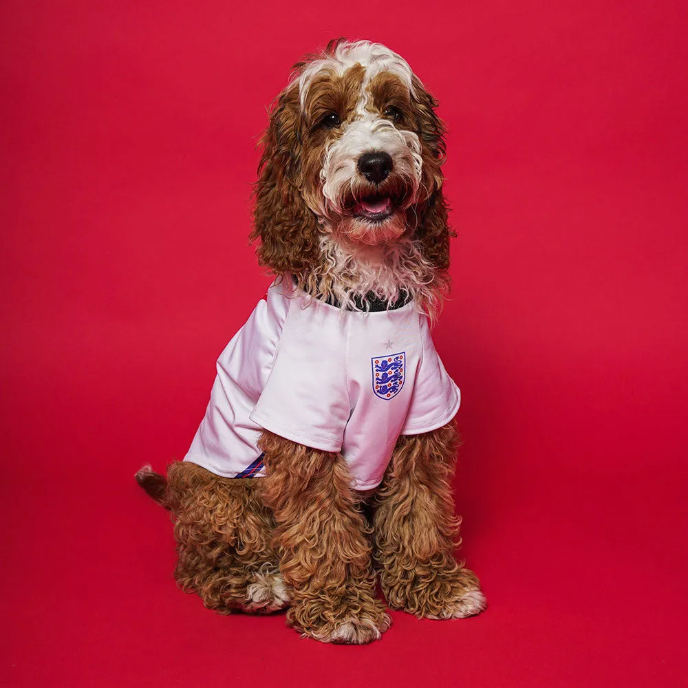 Personalised England Dog Shirt