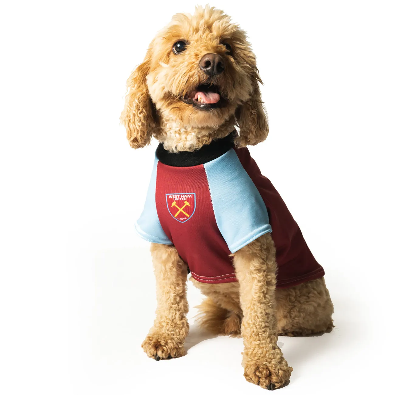 Personalised West Ham Dog Shirt